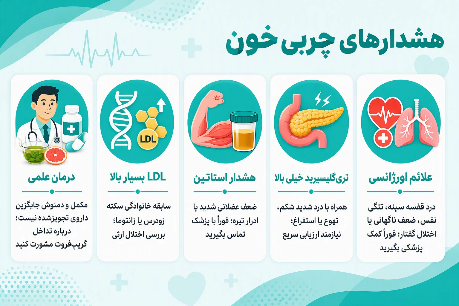 اینفوگرافیک افقی هشدارهای چربی خون، علائم اورژانسی، تری‌گلیسیرید بالا و نکات ایمنی استاتین